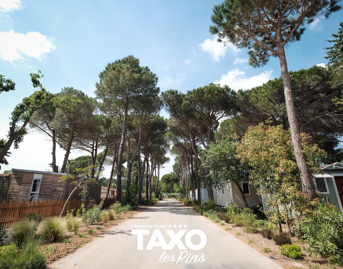 Camping Taxo Les Pins Аржеле-сюр-Мер Екстериор снимка