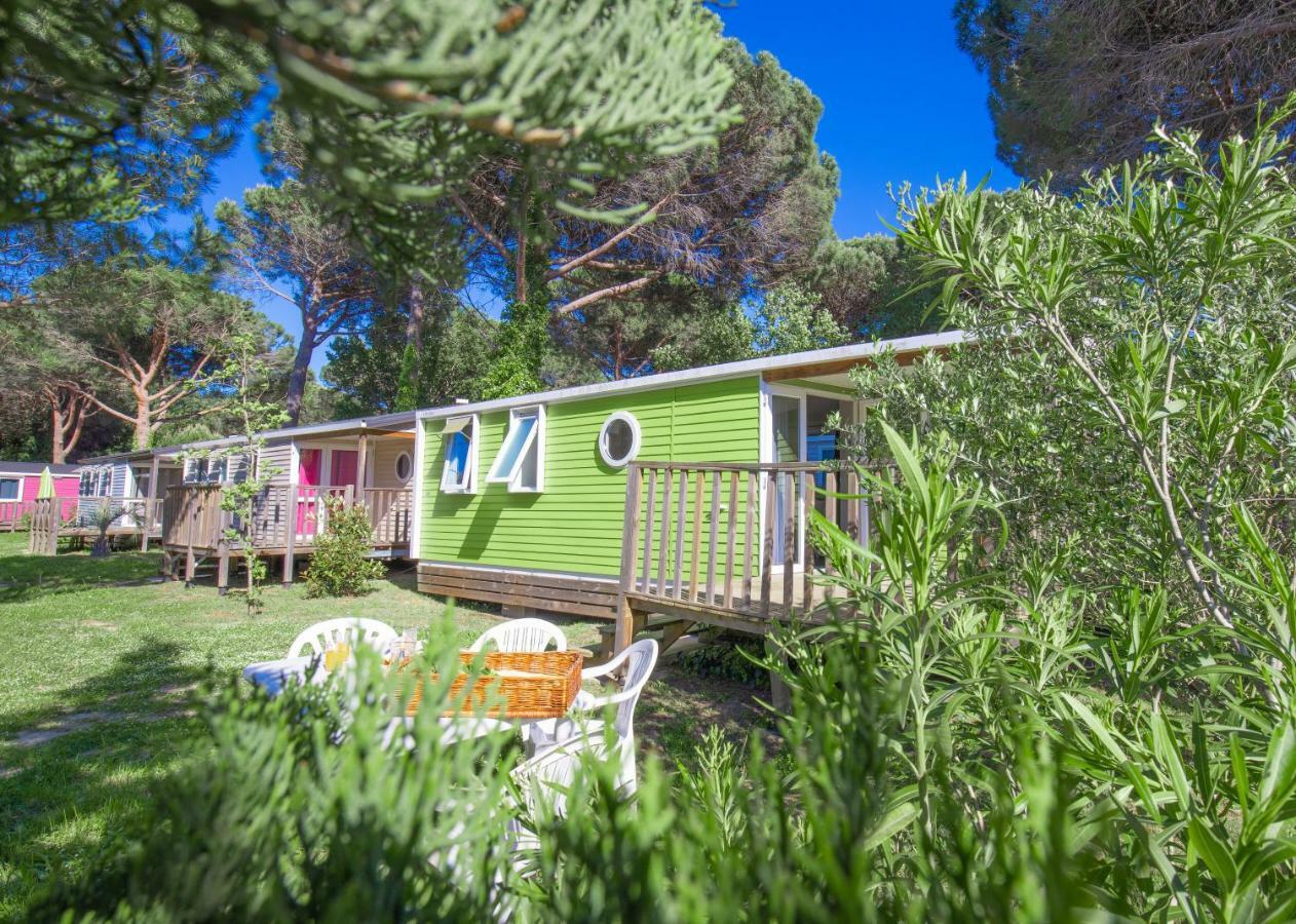 Camping Taxo Les Pins Аржеле-сюр-Мер Екстериор снимка